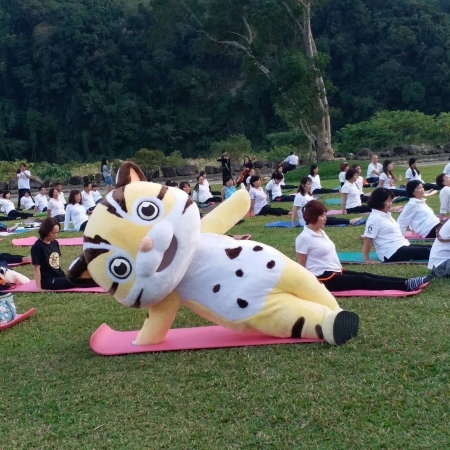 國際瑜珈節活動